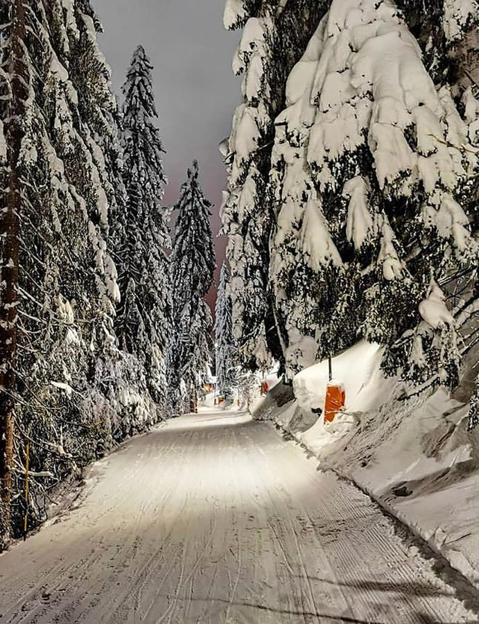 Wolf Apartments Jahorina Exteriör bild